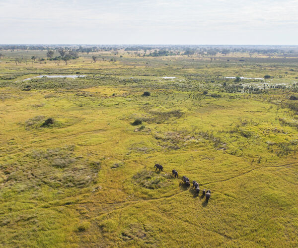 Moremi Game Reserve