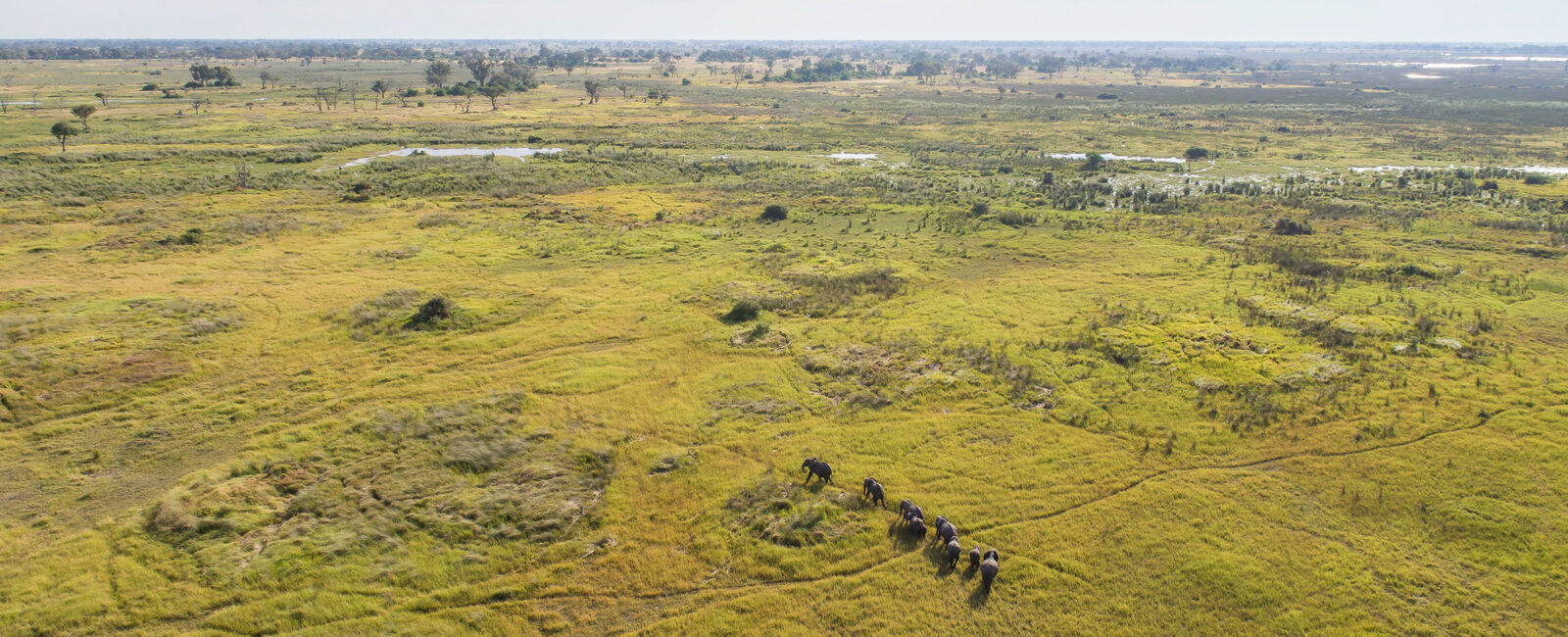 Moremi Game Reserve