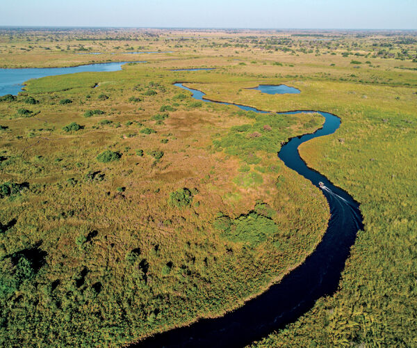 Okavango Delta