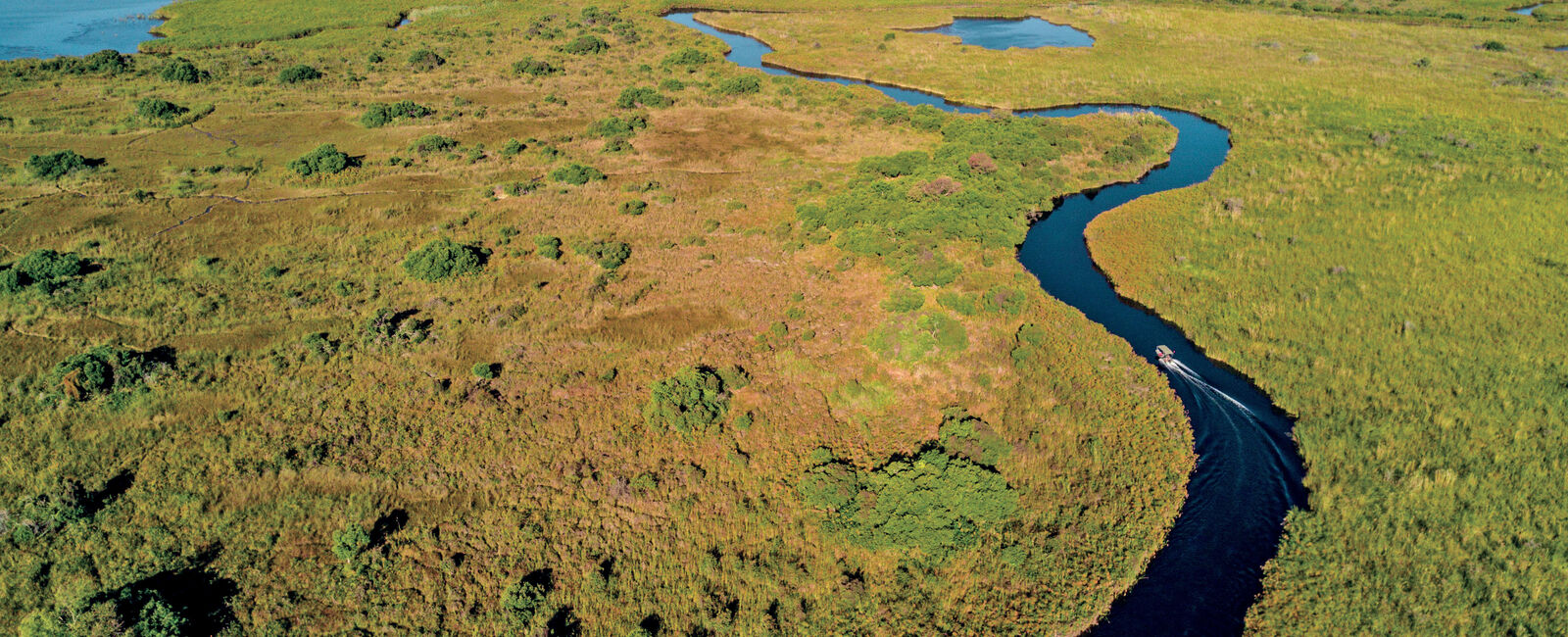 Okavango Delta