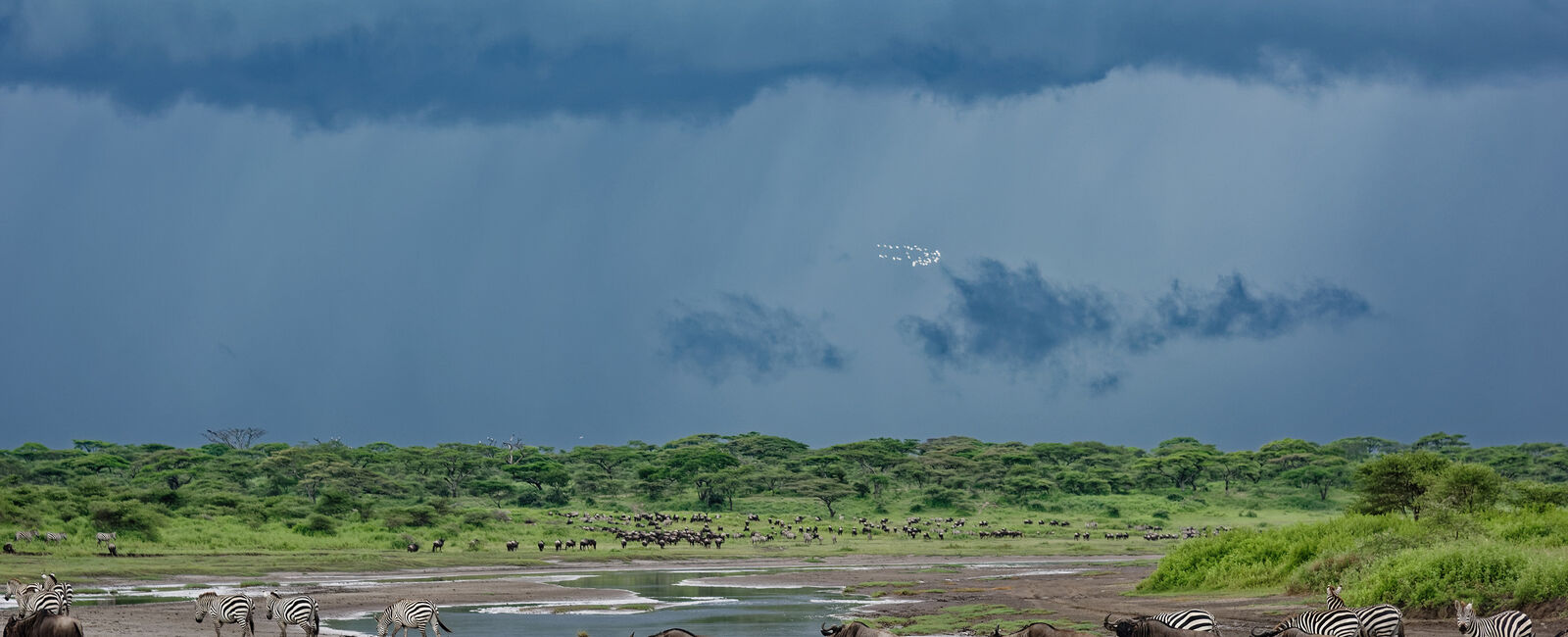 Ngorongoro Conservation Area and Ndutu