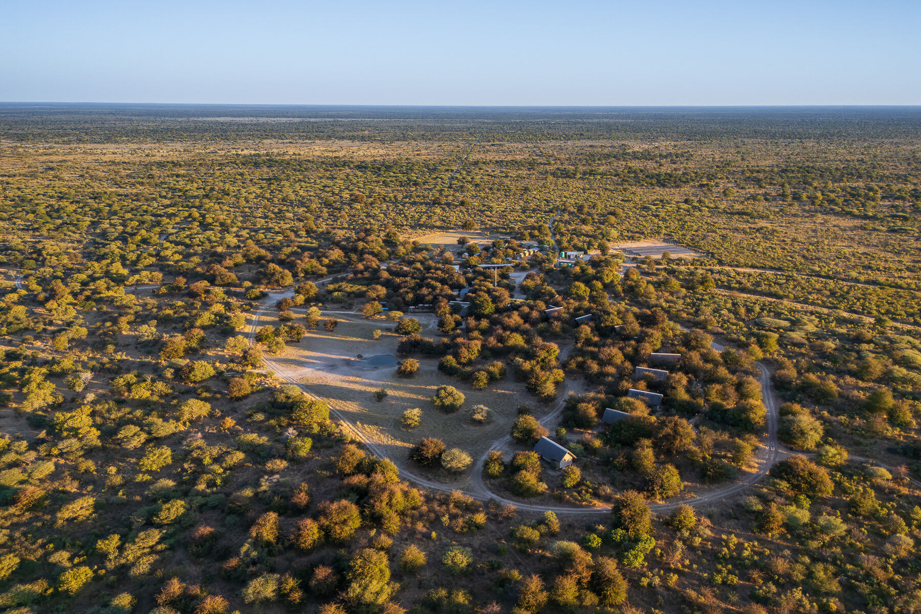 Dinaka in Central Kalahari Game Reserve